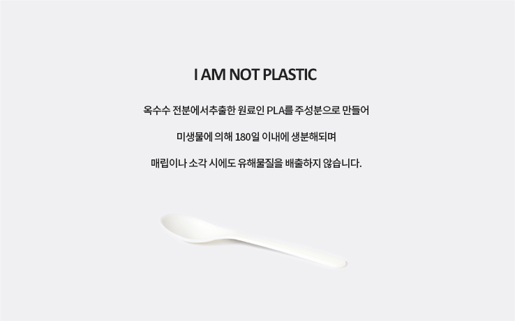 PLA 일회용 미니스푼 화이트 3000개